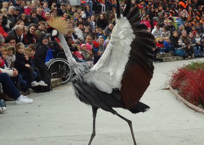 Parc aux oiseaux oct. 2016